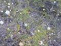 DSCN4537c