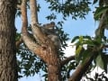 New young male behind school, 21 July 2014