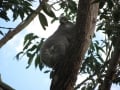 New young male behind school, 21 July 2014