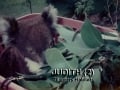 koala-display-014-1000px