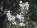 DSCN4033