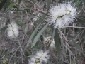 DSCN4035
