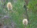 DSCN4047