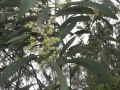 DSCN4067