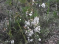 DSCN4086